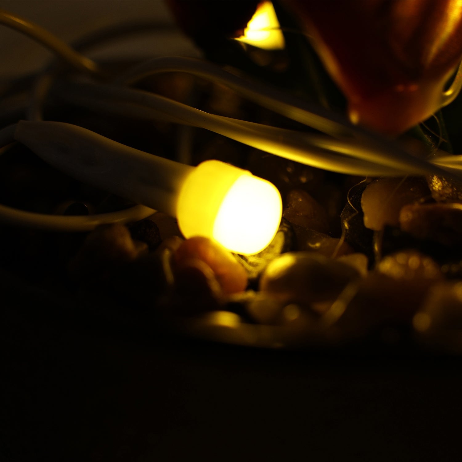 Decorative LED Wire Lights Decorative LED Wire Lights
